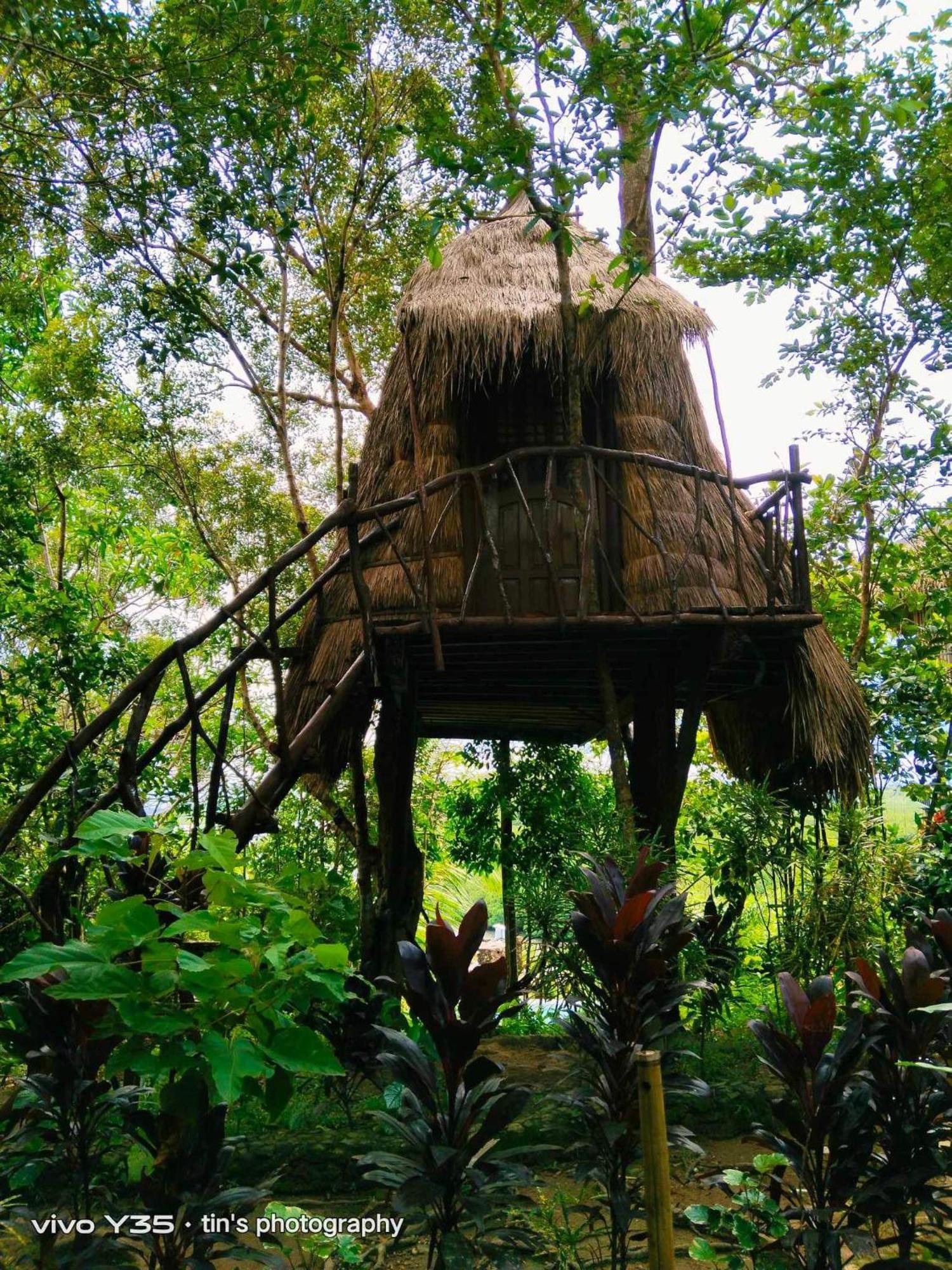 Sanctuaria Treehouses Busuanga Exterior photo