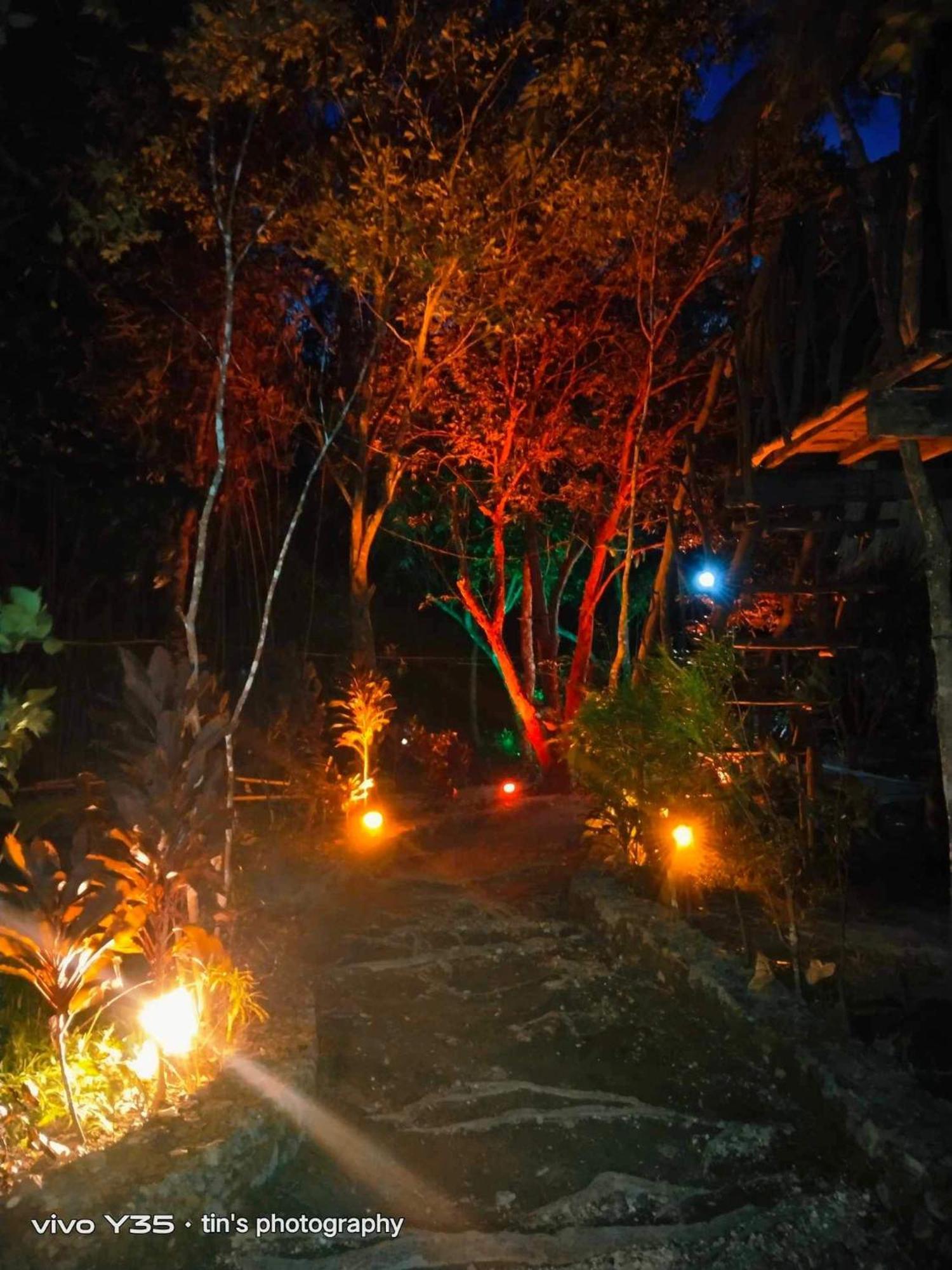 Sanctuaria Treehouses Busuanga Exterior photo
