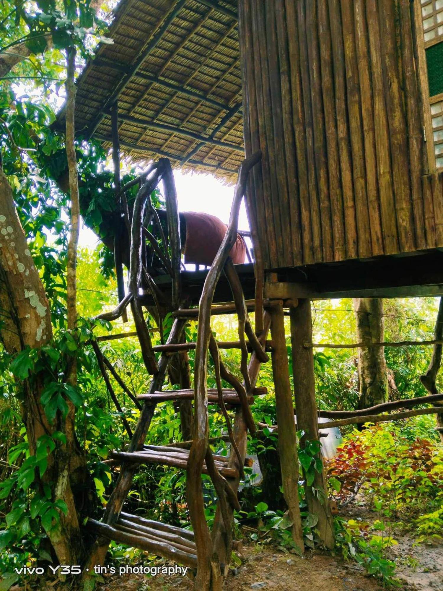 Sanctuaria Treehouses Busuanga Exterior photo