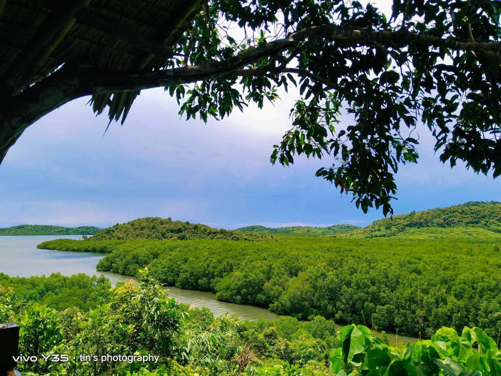 Sanctuaria Treehouses Busuanga Exterior photo