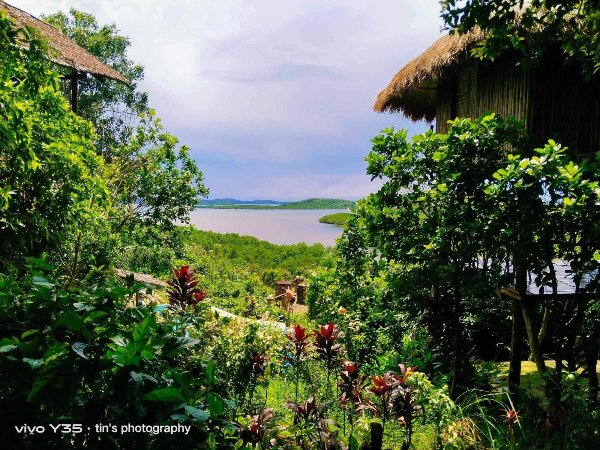 Sanctuaria Treehouses Busuanga Exterior photo