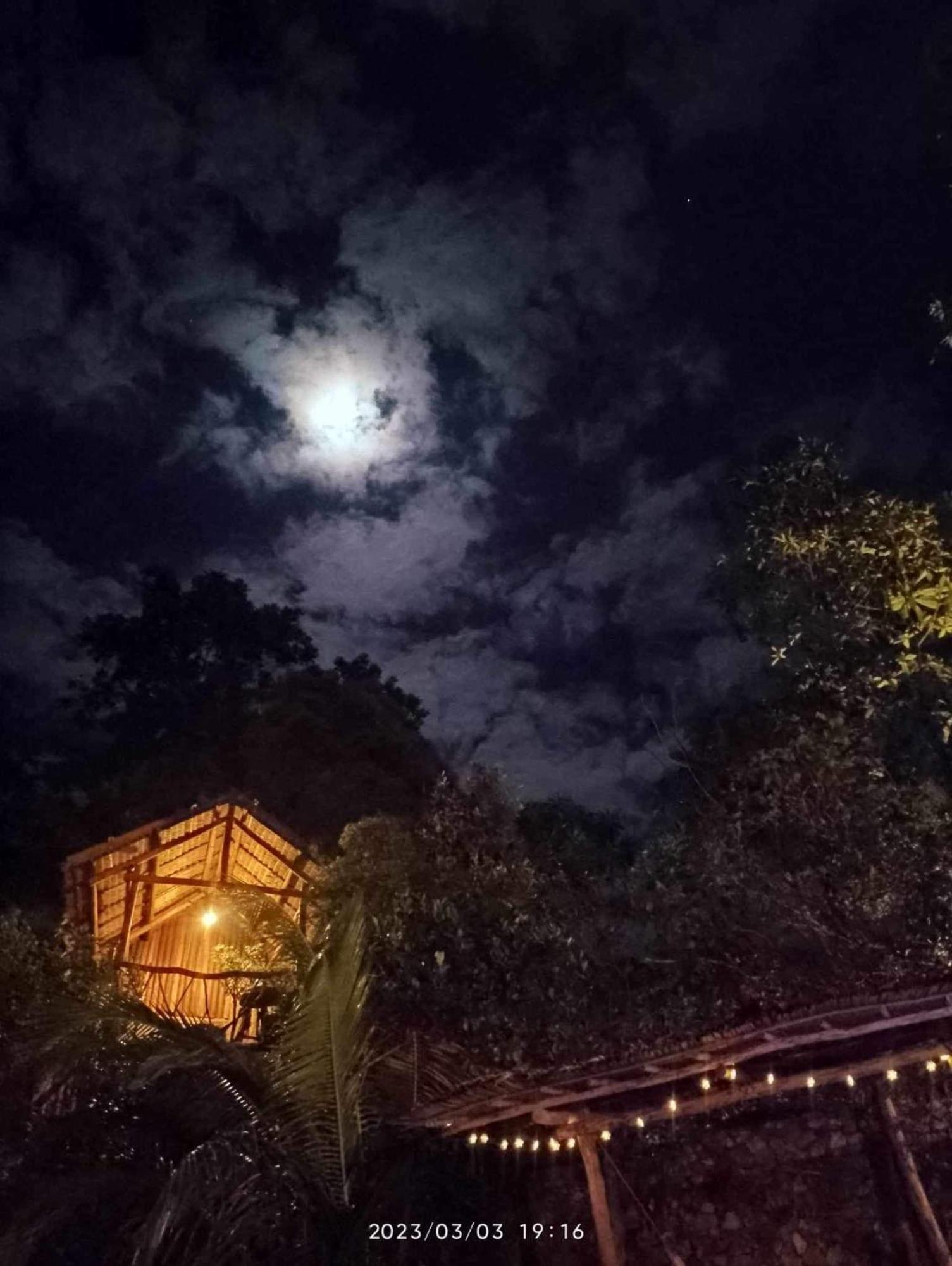 Sanctuaria Treehouses Busuanga Exterior photo